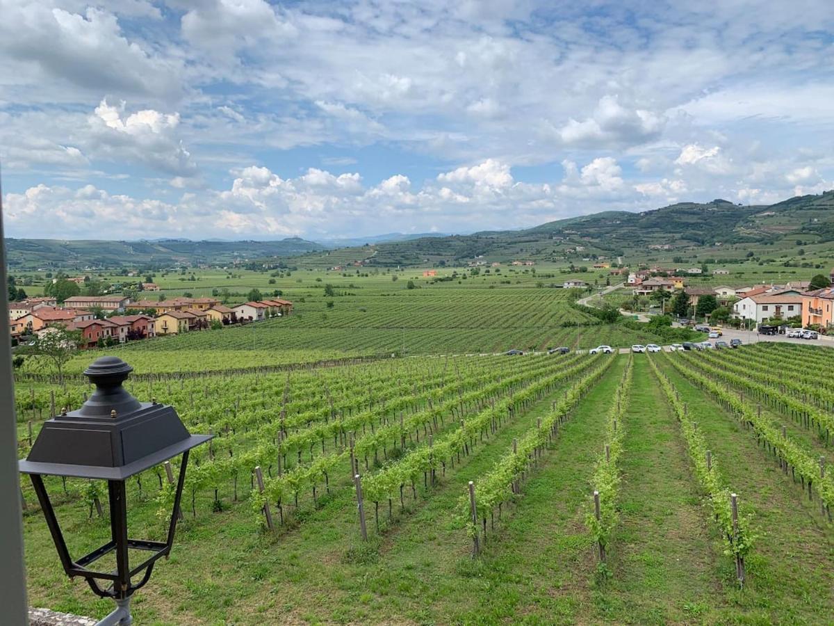 Soave House Alle Vigne-2-Luxury Stay Zewnętrze zdjęcie
